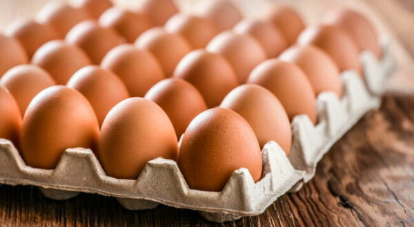 Huevos